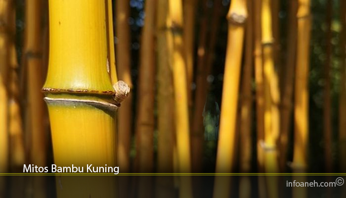 Mitos Bambu Kuning